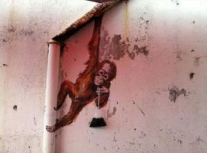 A baby orang utan taking in a drink in the hot weather