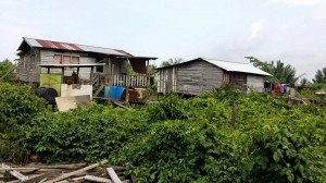 11141777_10206758044008981_2146966296583625580_n