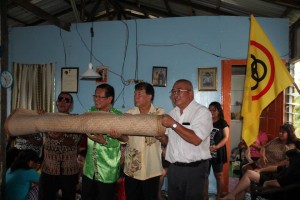 11667376_842086705874501_5387759584654645343_n