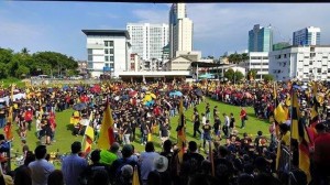 11737937_10207612533890694_4040646226878216839_n