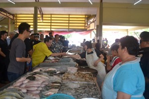 12240339_10153218848263133_7322653604571878613_o