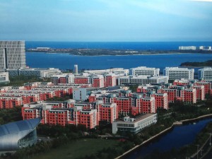 中国石油大学(华东）。