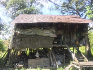 14720623_10209945083200350_6854138158128773828_n