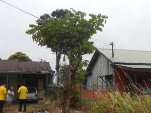 unnamed (4)