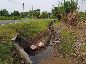 FB_IMG_1532961179359