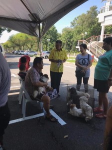 PHOTO-2018-10-06-16-48-46