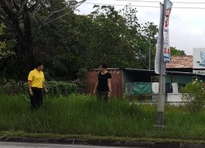 Tnay looking at the overgrown grass