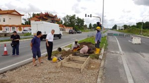Ting on the ground today.