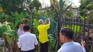 Ting at site visit